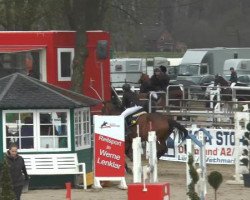 jumper Coenraad 2 (KWPN (Royal Dutch Sporthorse), 2007, from Ol Metta)