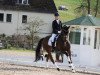 dressage horse Davie Jones (Westphalian, 2004, from Damon Hill)