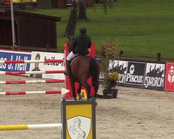 Reitturnier Westergellersen 2021