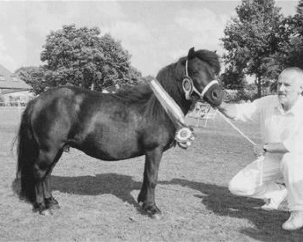 broodmare Florianne van de Horst (Shetland Pony, 1991, from August van de Kosterweide)