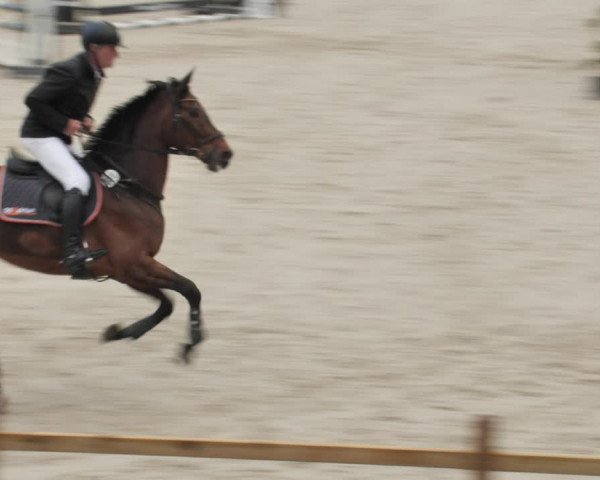 Reitturnier Westergellersen 2021