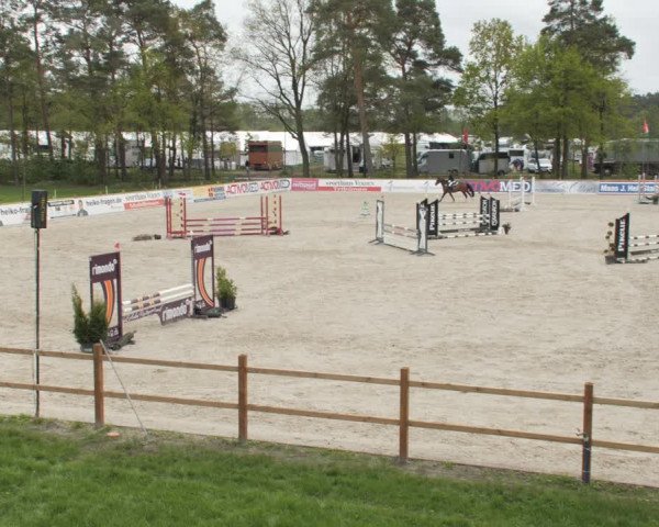 Reitturnier Westergellersen 2021