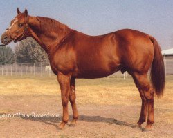 stallion Canadian Gil xx (Thoroughbred, 1969, from Northern Dancer xx)