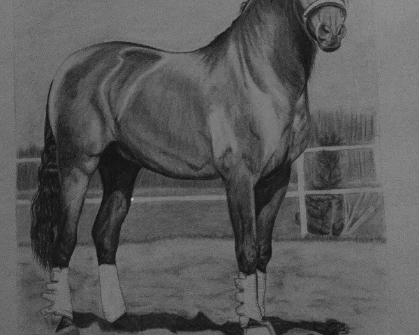 dressage horse Judio 2 (Pura Raza Espanola (PRE), 2010)