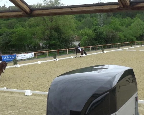 Reitturnier Leichlingen 2021