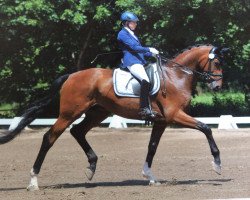 dressage horse De Luxe 59 (Hanoverian, 2009, from Don Frederico)