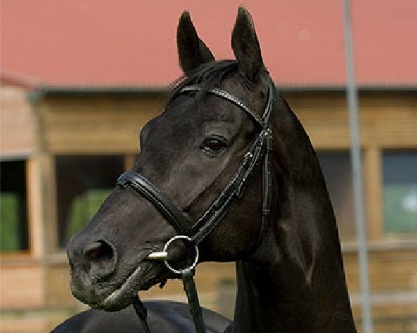 horse Likoto xx (Thoroughbred, 1993, from Fit to Fight xx)