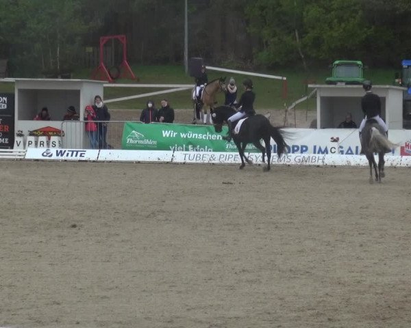 Reitturnier Rastede-Nethen 2021
