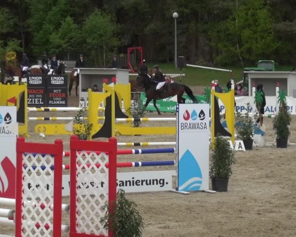 Reitturnier Rastede-Nethen 2021