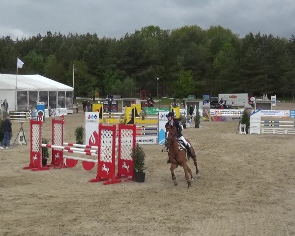 Reitturnier Rastede-Nethen 2021