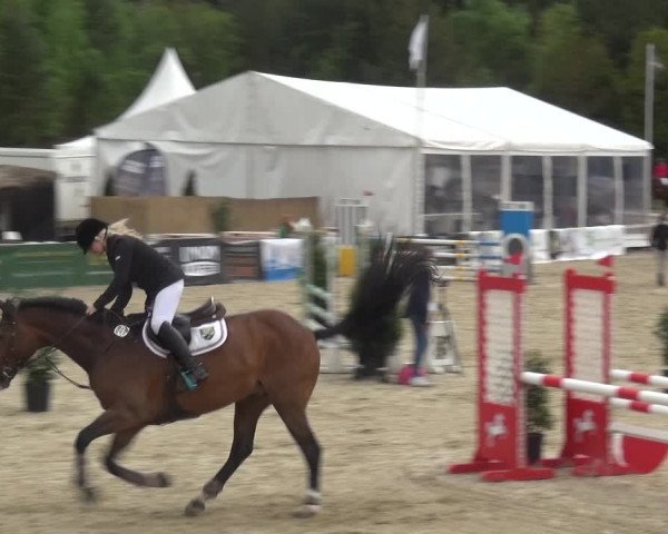 Reitturnier Rastede-Nethen 2021