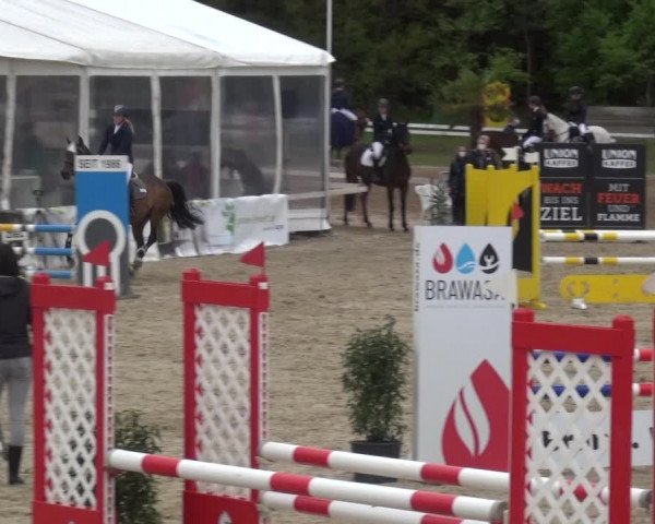 Reitturnier Rastede-Nethen 2021