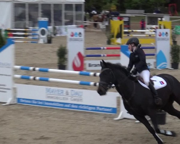 Reitturnier Rastede-Nethen 2021