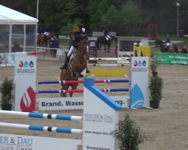 Reitturnier Rastede-Nethen 2021