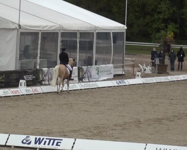 Reitturnier Rastede-Nethen 2021