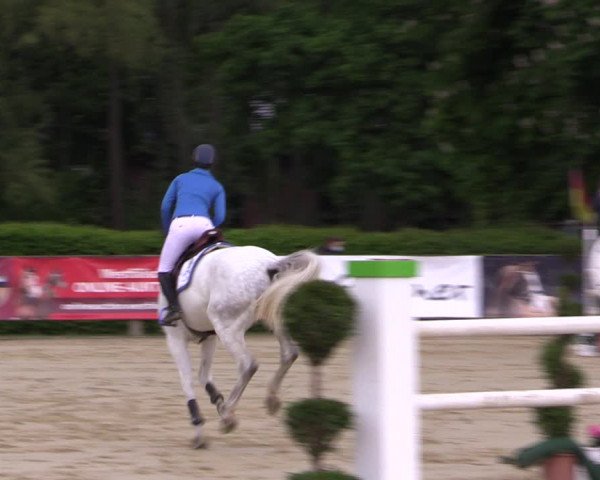 Reitturnier Münster-Handorf 2021