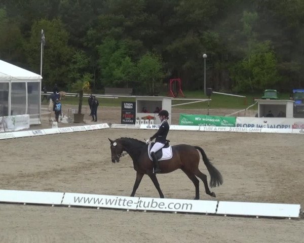 Reitturnier Rastede-Nethen 2021