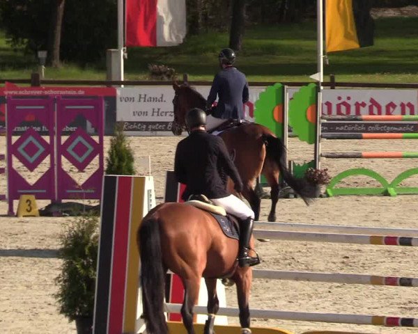 Reitturnier Westergellersen 2021