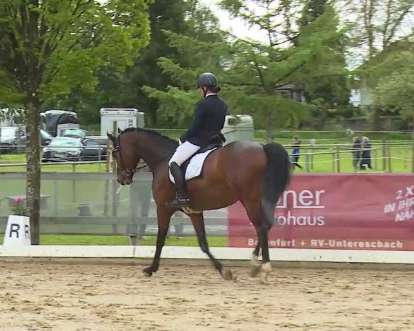 Reitturnier Aulendorf 2021