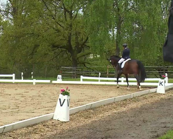 Reitturnier Aulendorf 2021