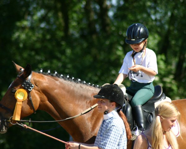 Pferd Campionha (Holsteiner, 1996, von Campione)