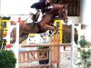 jumper Domino Dancer 5 (German Riding Pony, 2007, from Donauwind)