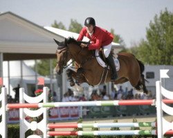 Springpferd Domino (Belgisches Warmblut, 2002, von Thunder van de Zuuthoeve)