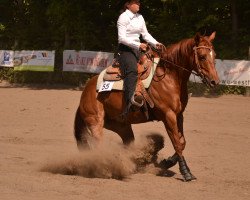 horse WB Chex Little Lena (Quarter Horse, 2009, from Tivios Tucker Check)