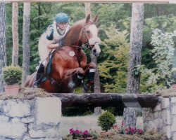 broodmare Ballygowan (Oldenburg, 1992, from Tin Rocco)