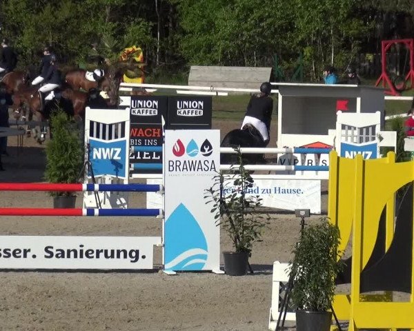 Reitturnier Rastede-Nethen 2021