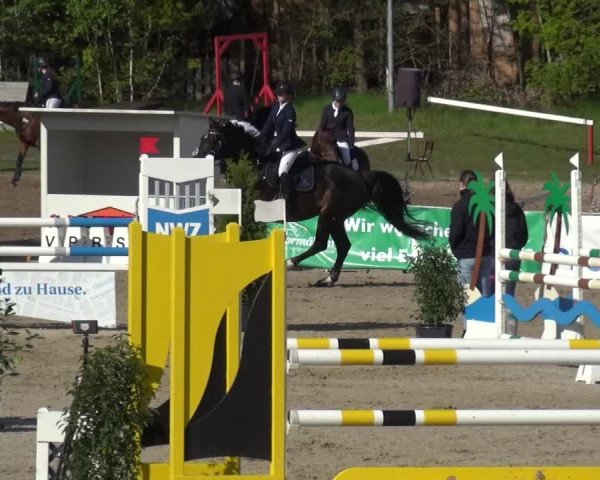 Reitturnier Rastede-Nethen 2021