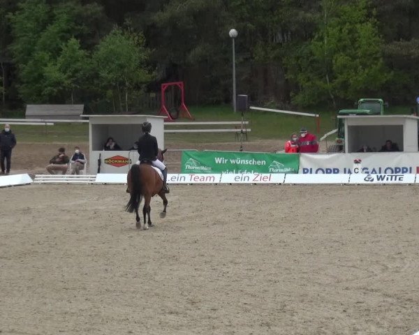 Reitturnier Rastede-Nethen 2021