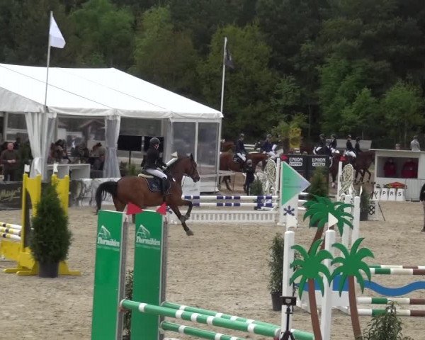 Reitturnier Rastede-Nethen 2021