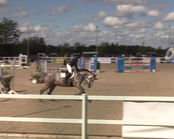 Reitturnier Ladelund 2021