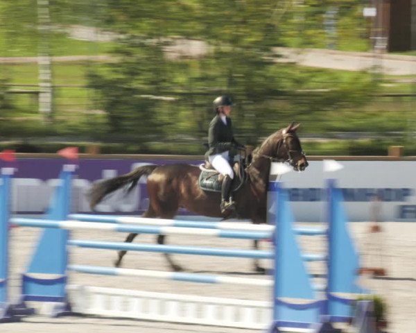 Reitturnier Westergellersen 2021