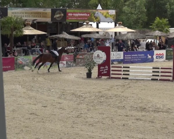 Reitturnier Rastede-Nethen 2021