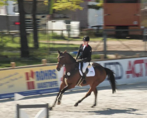 Reitturnier Westergellersen 2021