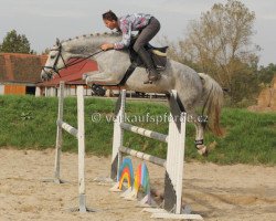 jumper Angelina (Oldenburg, 2009, from Calato)