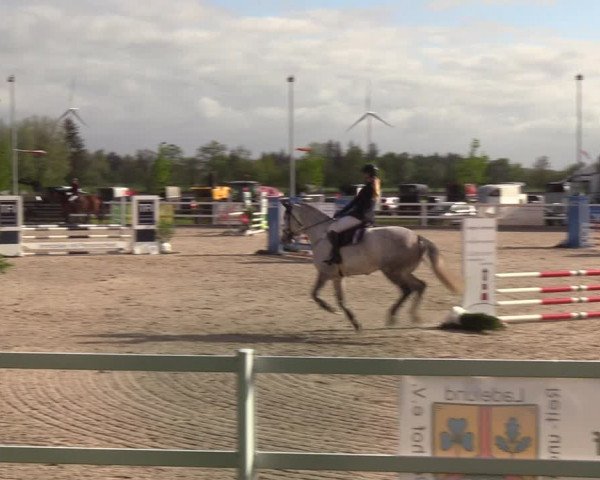 Reitturnier Ladelund 2021