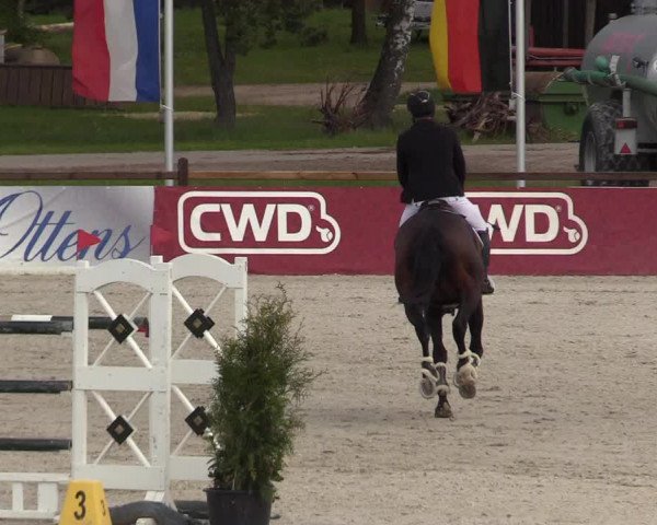 Reitturnier Westergellersen 2021