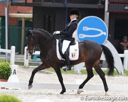 dressage horse Equestricons Epiascer (Belgian Riding Pony, 2000, from Ten Ankers Jerolianca)