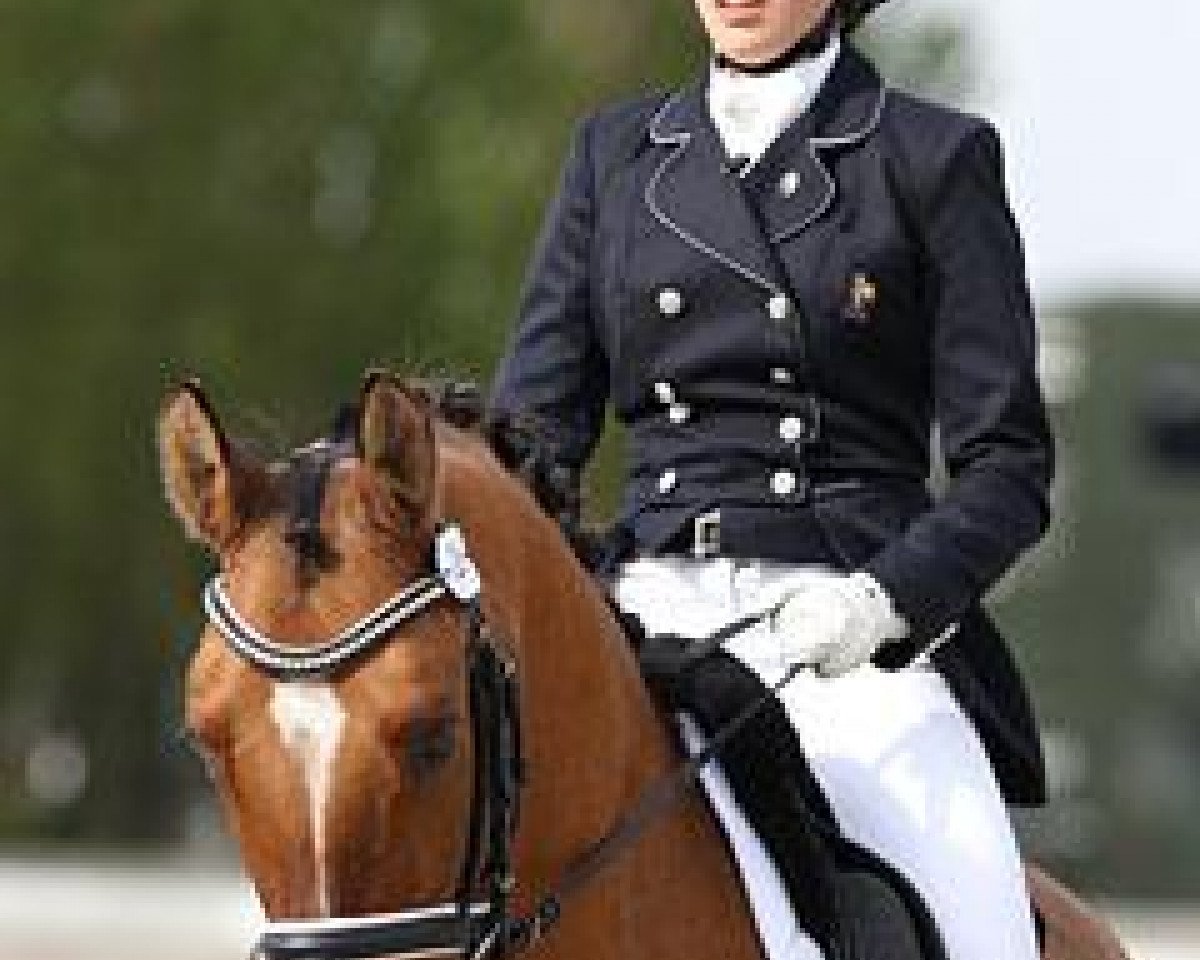 Dressurpferd Psw Desperado (Deutsches Reitpony, 1999, von FS Don't Worry)