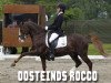 Pferd Oosteind’s Rocco (Nederlands Welsh Ridepony, 1998, von Anjershof Rocky)
