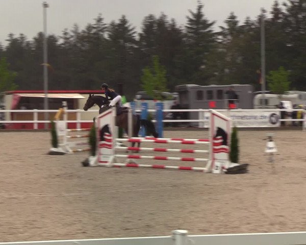 Reitturnier Ladelund 2021