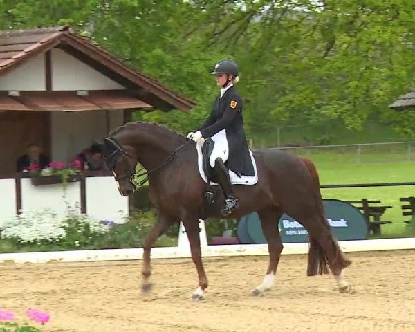 Reitturnier Aulendorf 2021