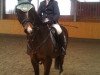 dressage horse Lucky Luke (German Riding Pony, 1997, from Lord Junker)