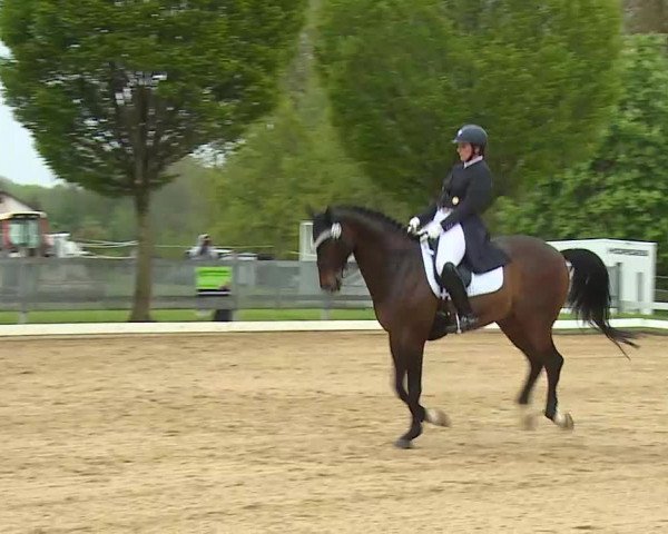 Reitturnier Aulendorf 2021