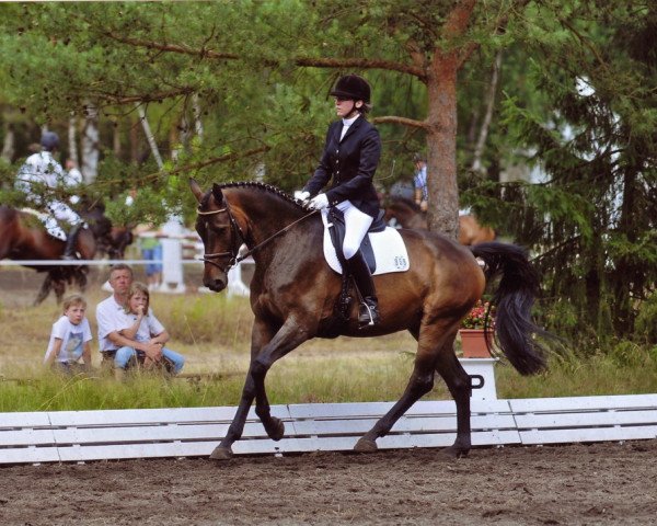 dressage horse Werner 58 (Oldenburg, 2006, from Weltissimo 3)