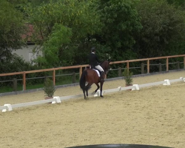 Reitturnier Leichlingen 2021