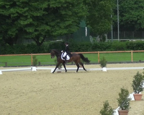 Reitturnier Leichlingen 2021